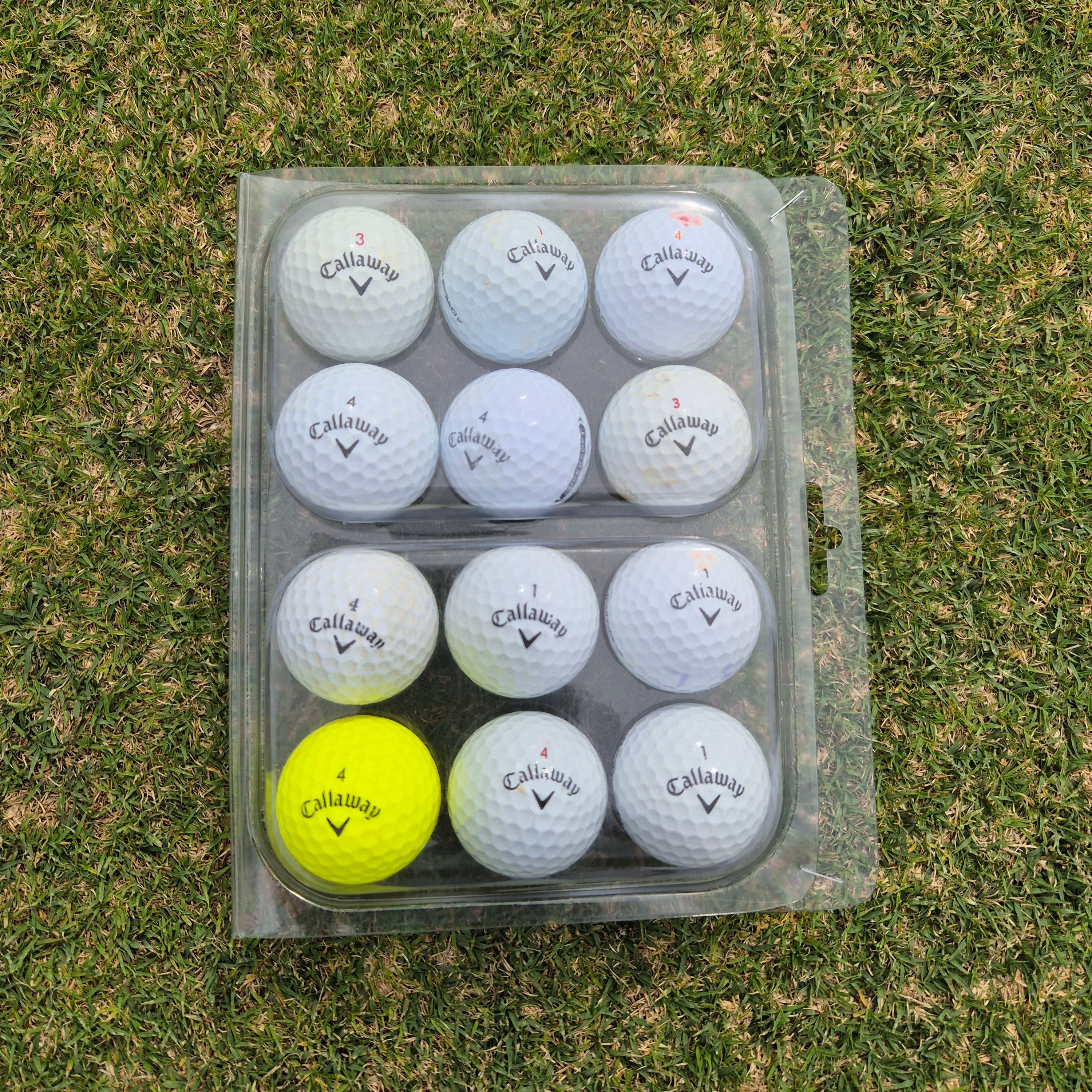 Chappo's Callaway Rescued Balls