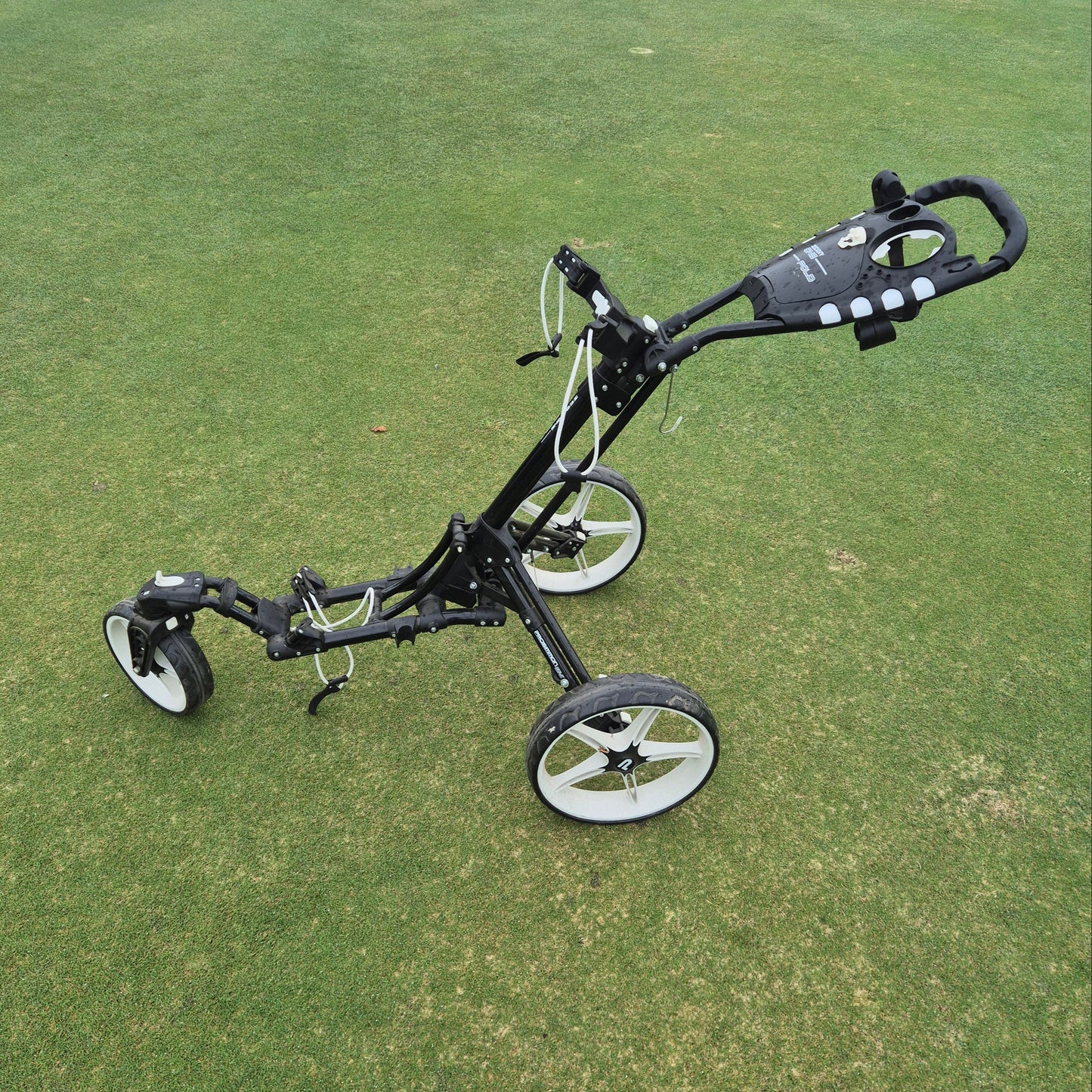 Prosimmon Push Buggy