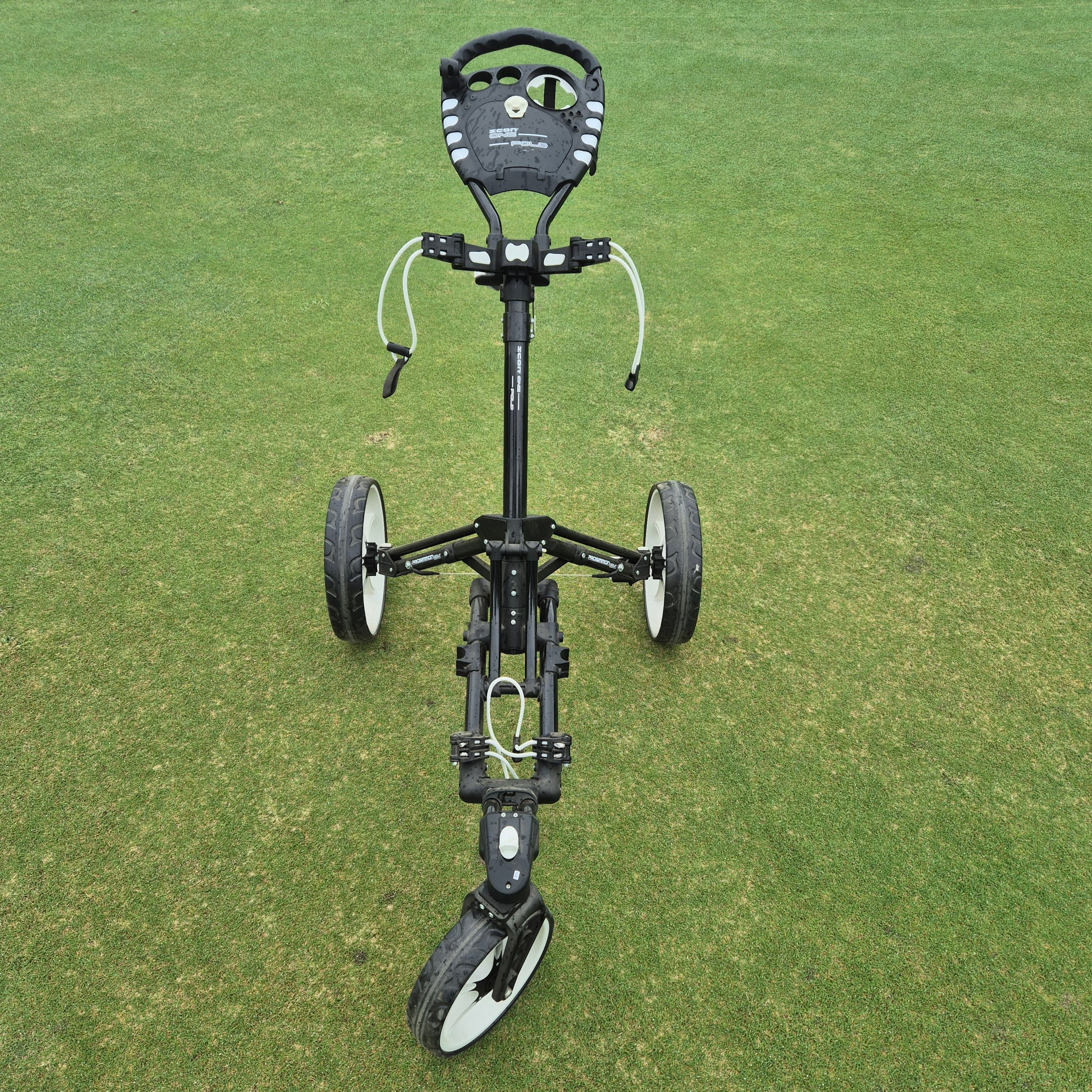 Prosimmon Push Buggy