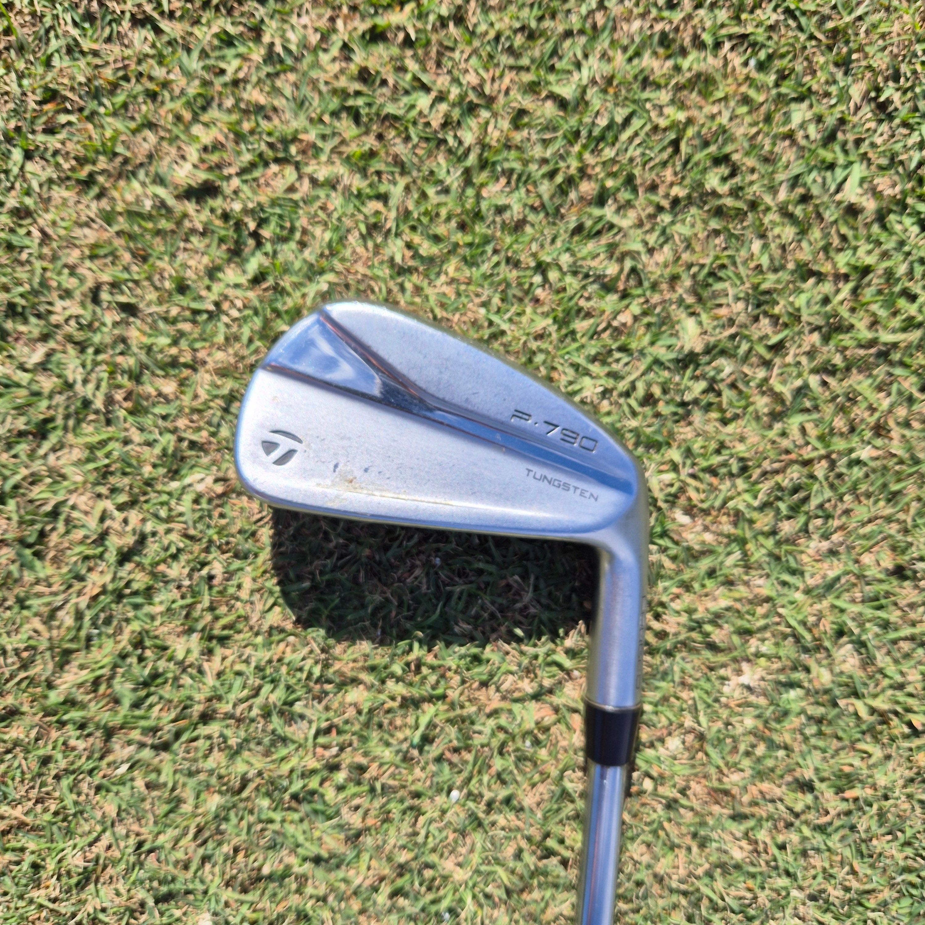 Rescued TaylorMade P790 and TM19 LX Cart Bag